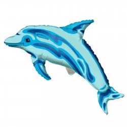 Transparent-Dolphin