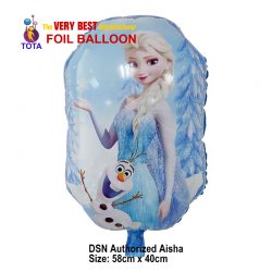 DSN Authorized Aisha